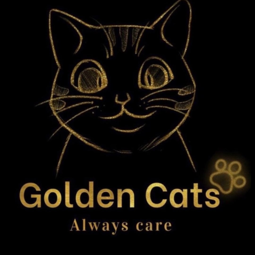 القطط الذهبية